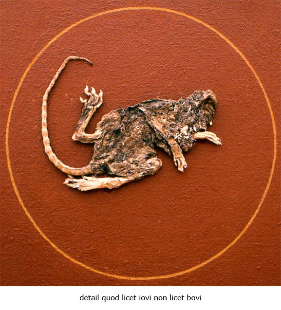 detail quod licet iovi non licet bovi